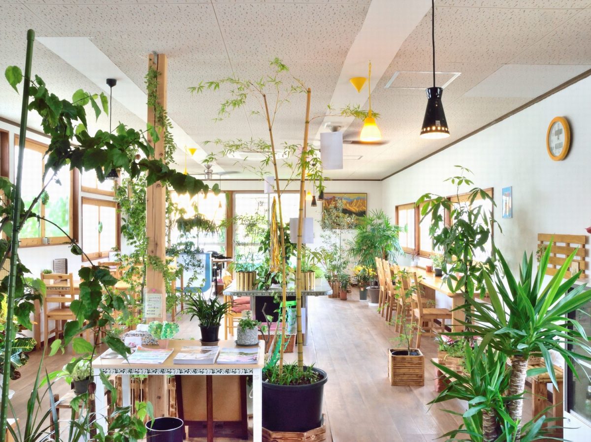 静岡の隠れ家カフェ「光と風のカフェ セロリ」 ギャップのありすぎる外観と内装の秘密