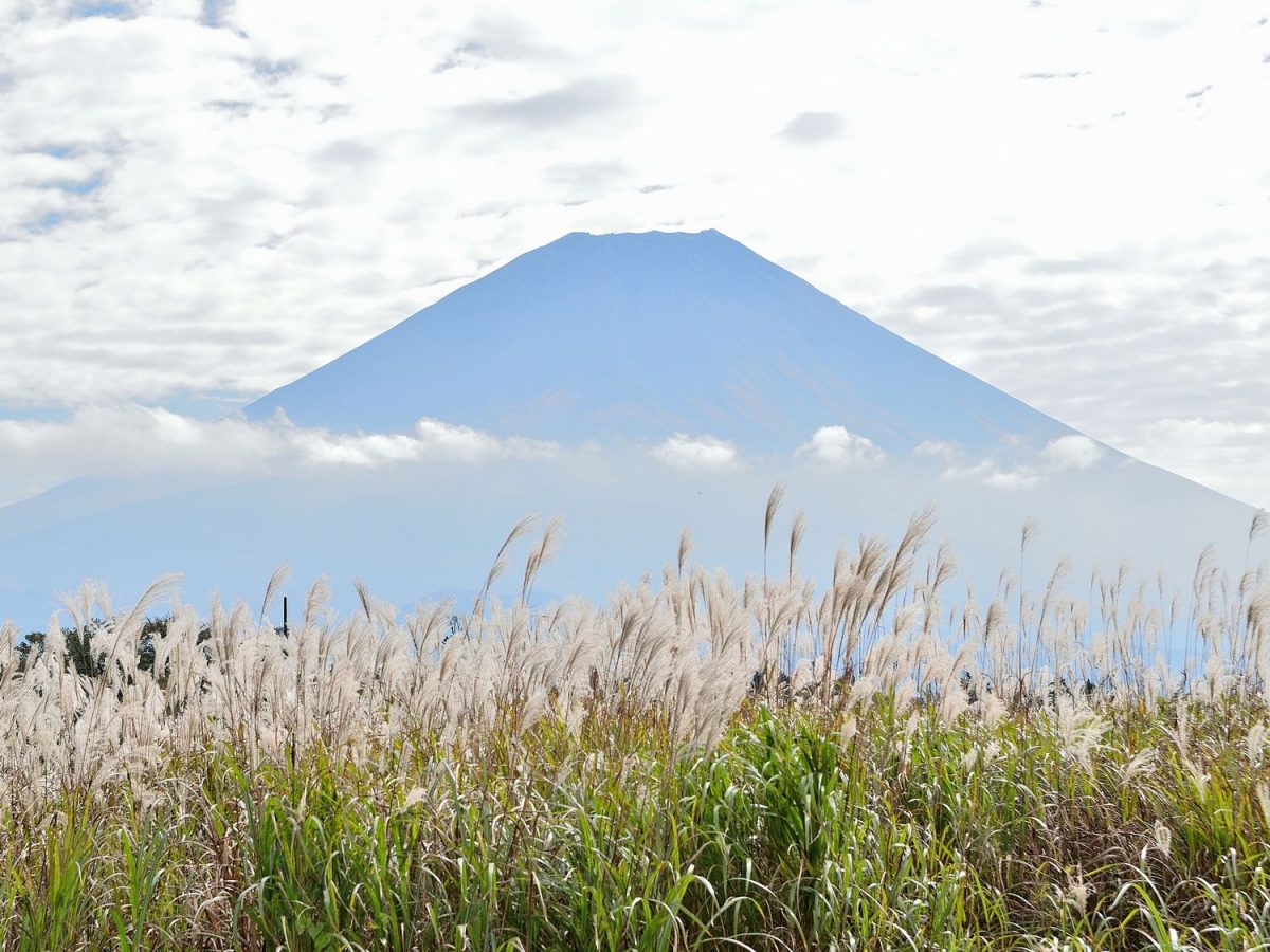 静岡の県境、歩いちゃいました。 静岡県と山梨県の間は外国人に大人気！？