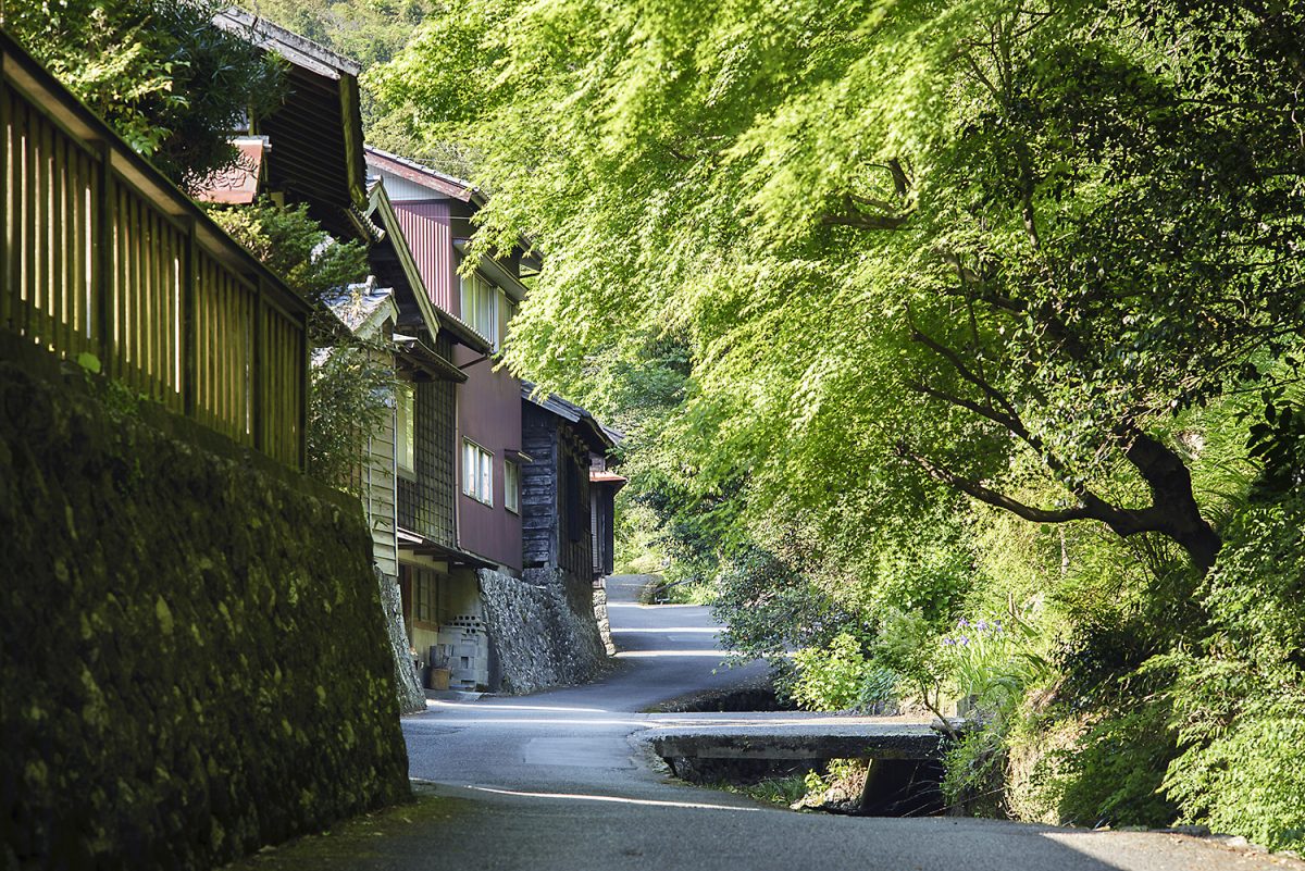 港町・焼津に残る美しい里山「花沢の里」 自然と調和した古い町並みを歩く