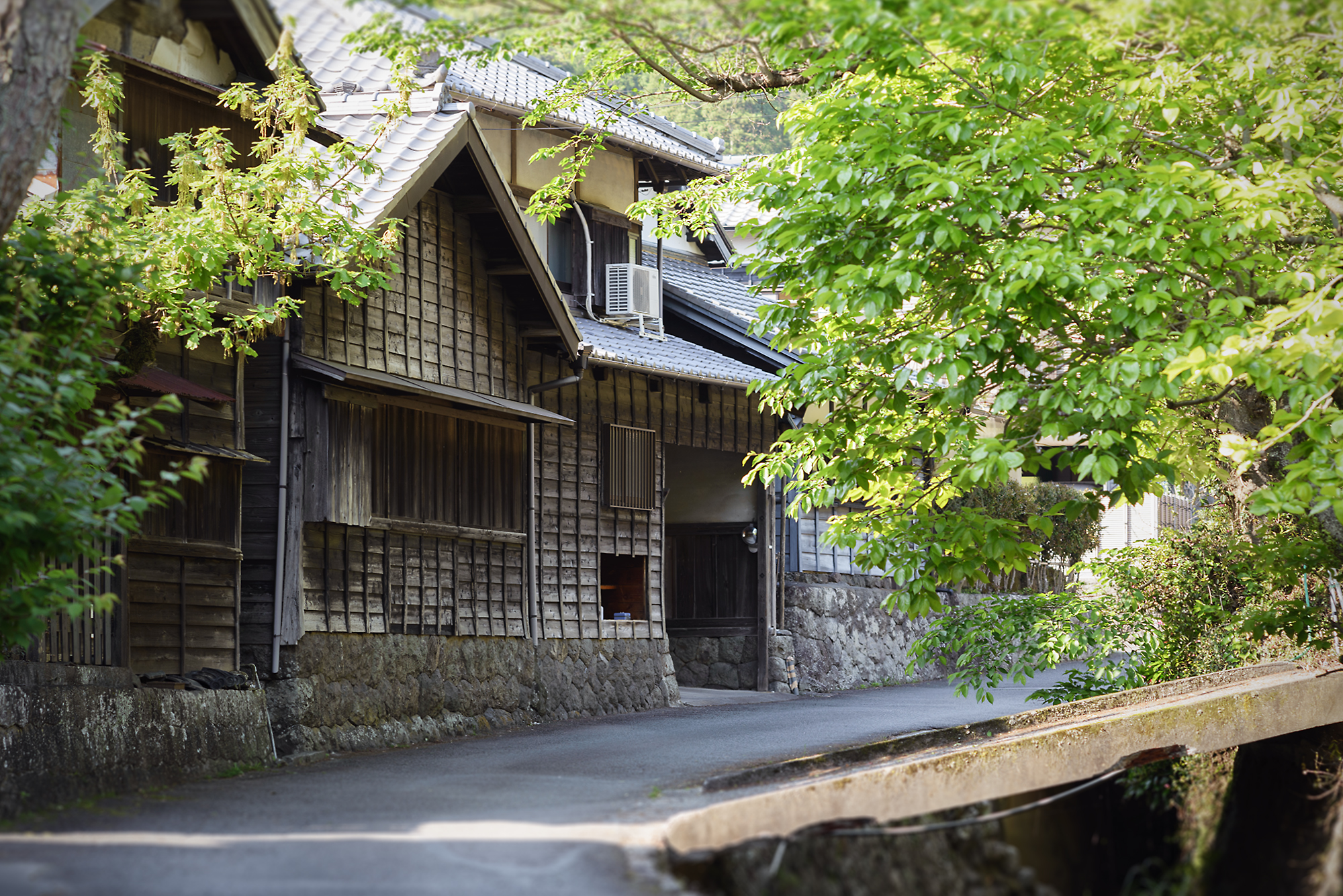 港町 焼津に残る美しい里山 花沢の里 自然と調和した古い町並みを歩く Miteco みてきてつながる しぞ かネット