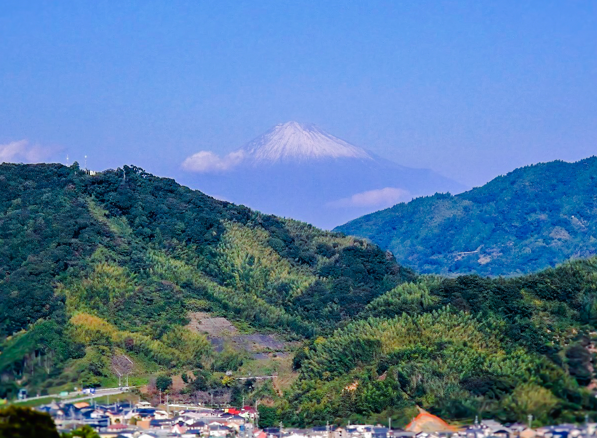 藤枝から富士山が見える若王子古墳群 秘密の小道でお気軽ハイキング体験！