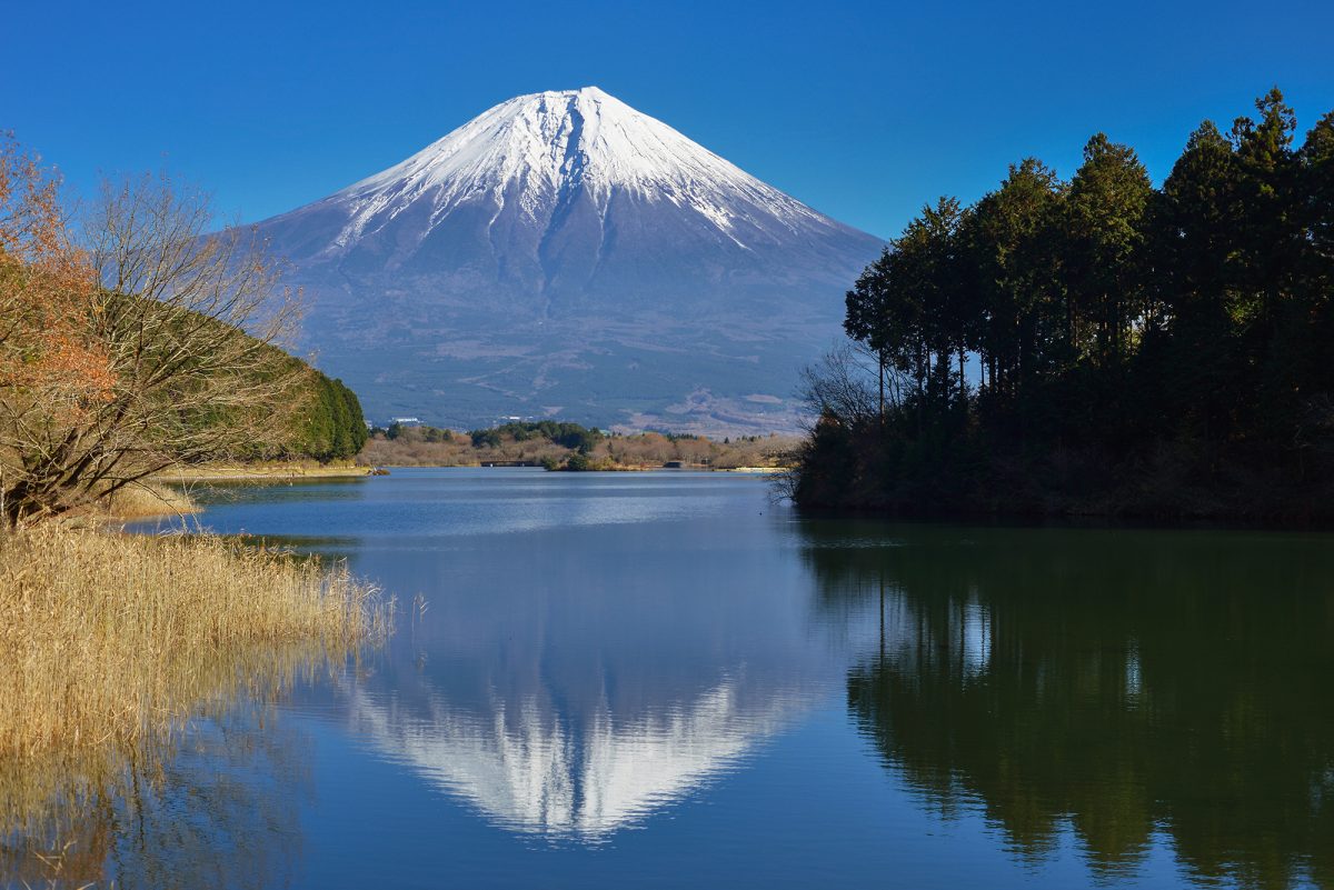 厳選！富士山を望む絶景スポット【富士宮編】 富士宮で牧場と湖、名瀑を堪能！