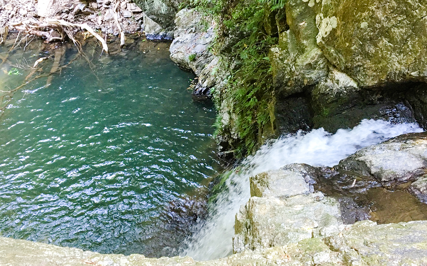 隠れスポット 仙巌の滝 で緑と涼を満喫 暑い季節は緑のなかで癒されよう Miteco みてきてつながる しぞ かネット
