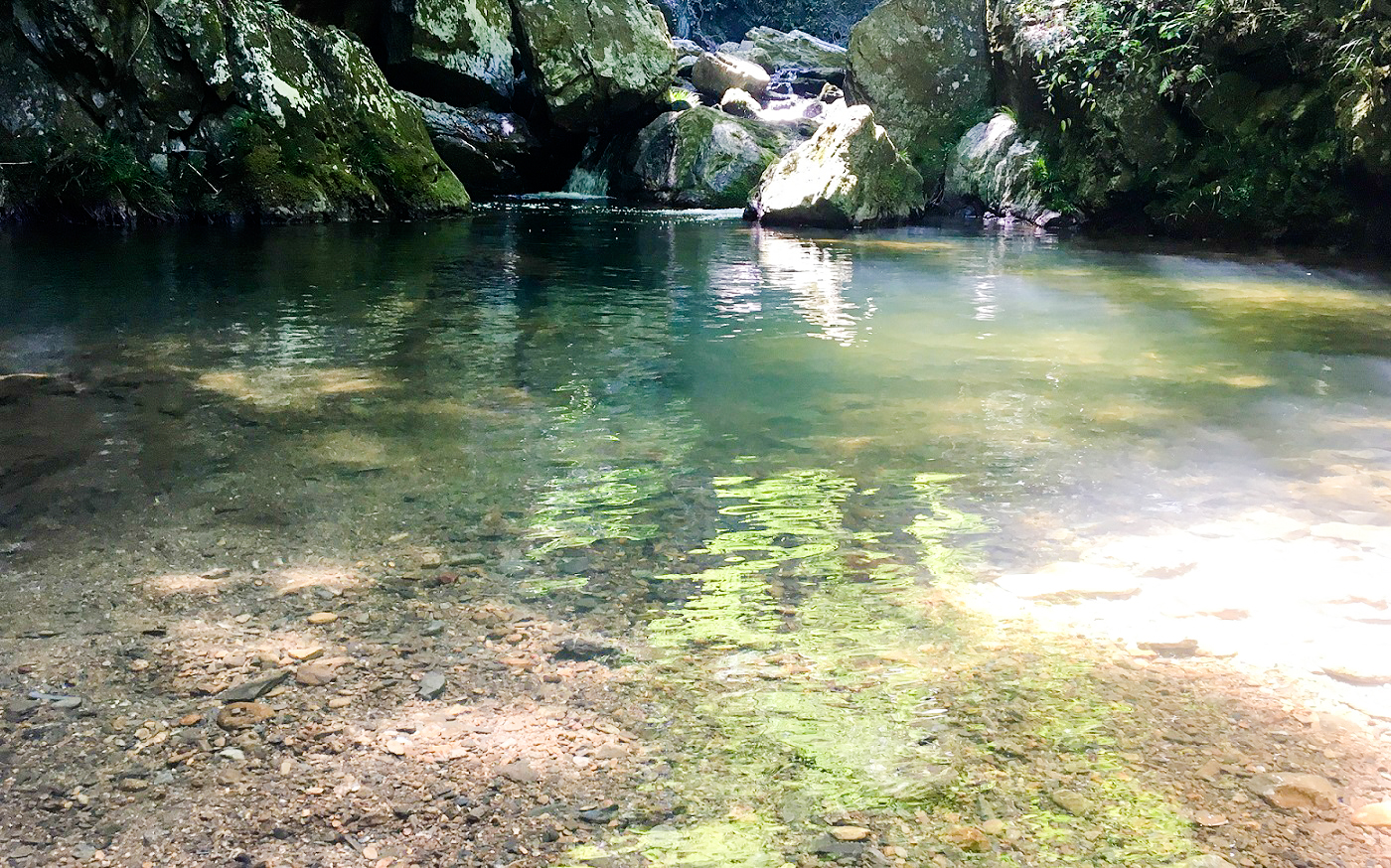 隠れスポット 仙巌の滝 で緑と涼を満喫 暑い季節は緑のなかで癒されよう Miteco みてきてつながる しぞ かネット