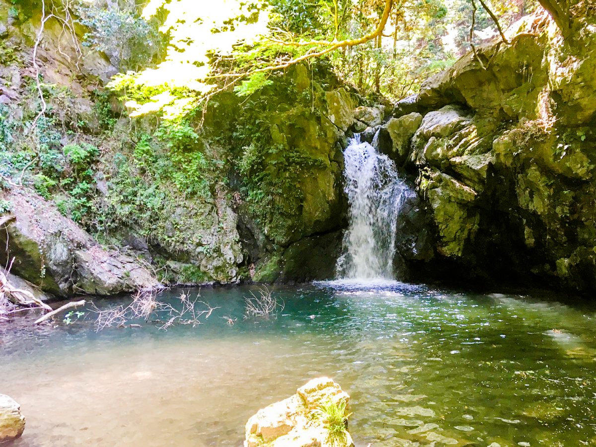 隠れスポット「仙巌の滝」で緑と涼を満喫！ 暑い季節は緑のなかで癒されよう